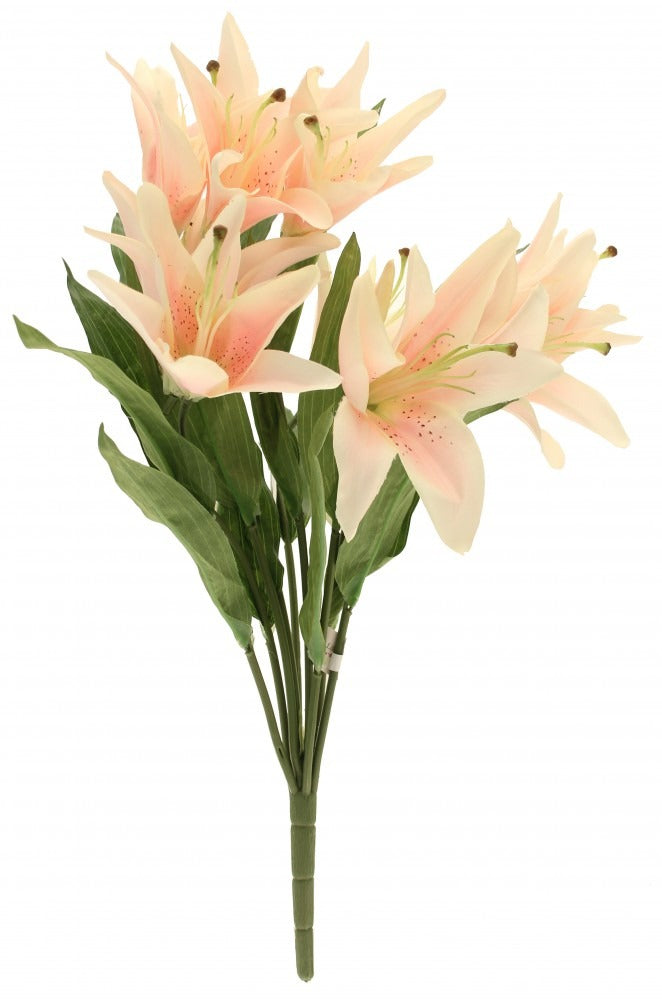 Lily Bush x9 Light Pink