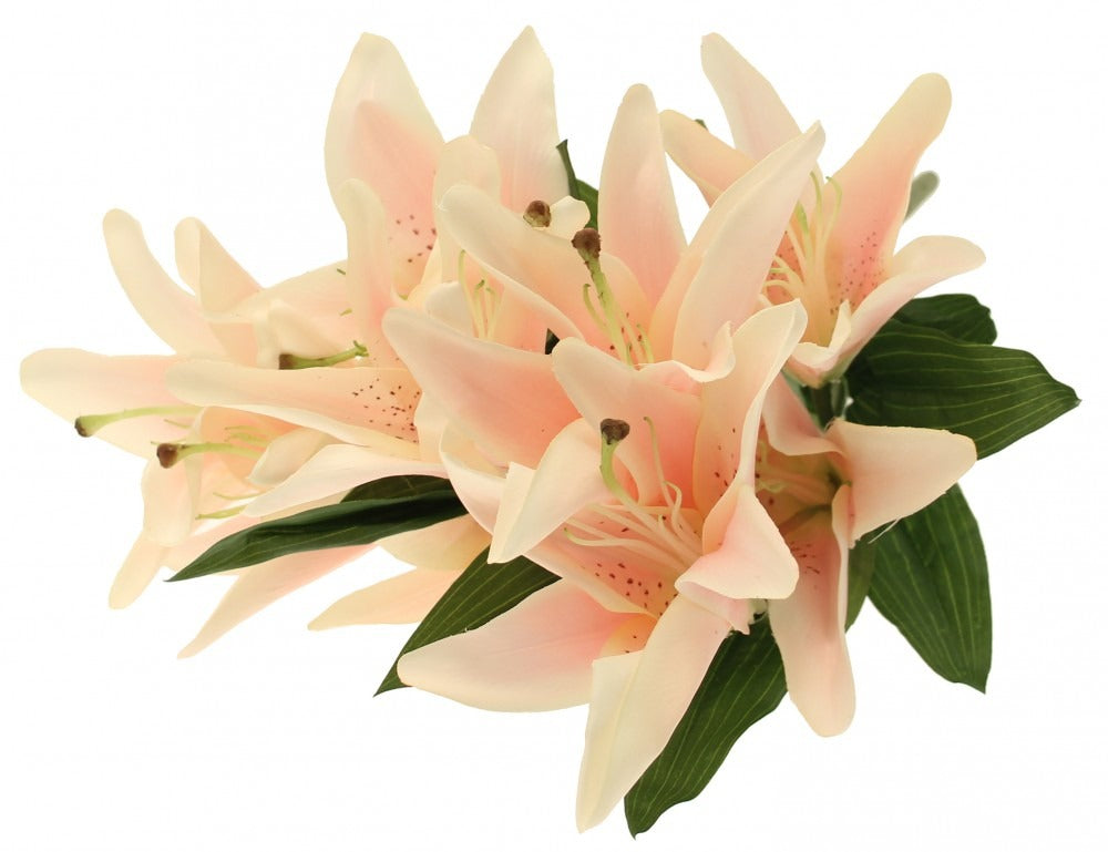 Lily Bush x9 Light Pink