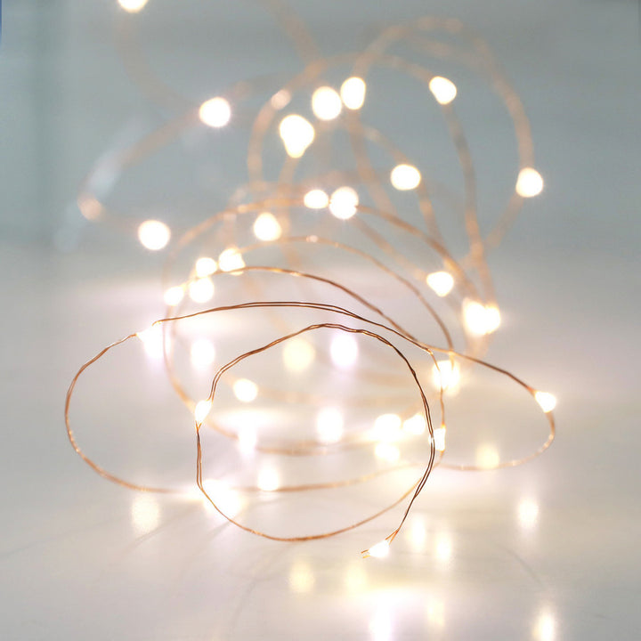 30 Battery Powered LED Copper Wire String Lights